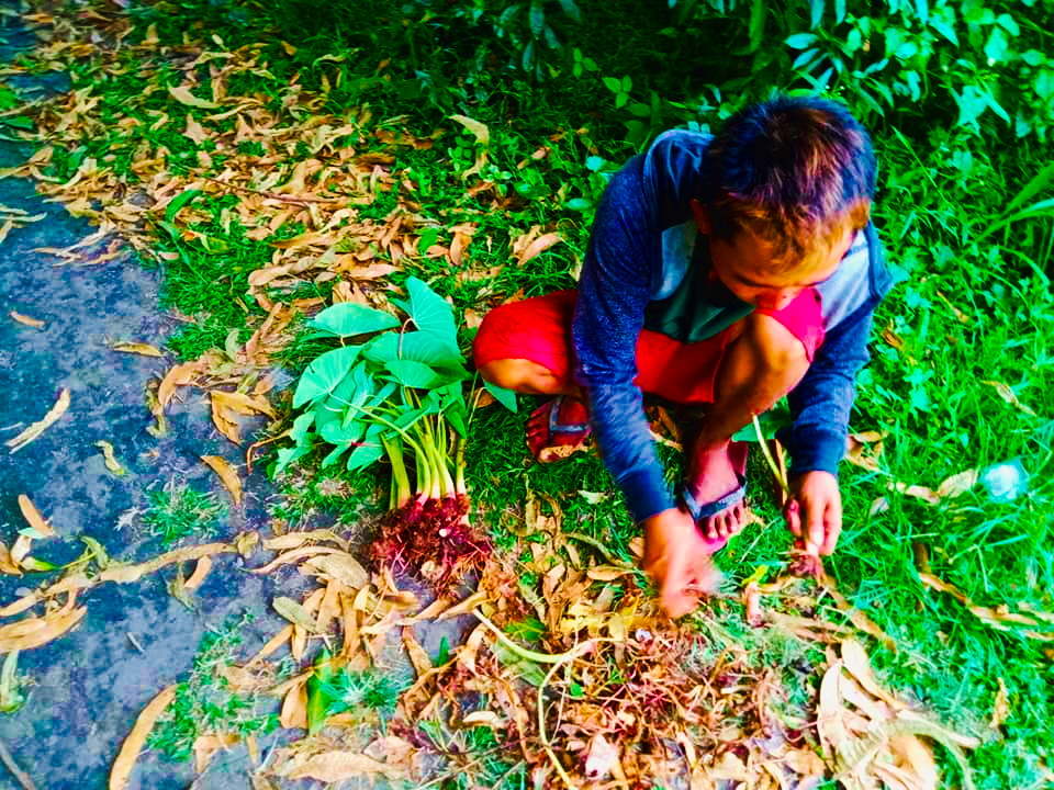 Organic root crops from the Mangarita Organic Farm in Capas, Tarlac.